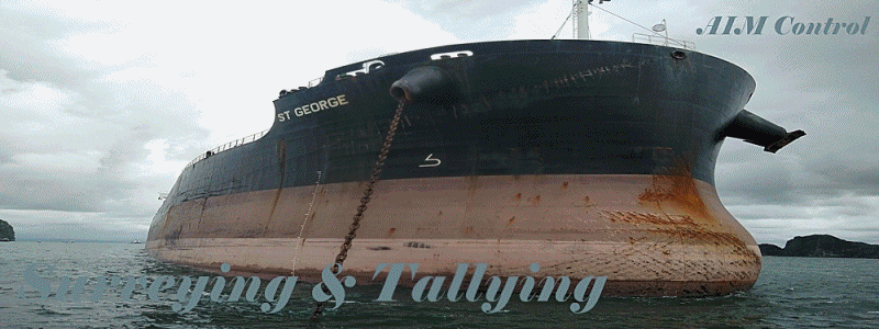 Ship_Vessel_marine_cargo_tallying_services_loading_discharging_in_Vietnam